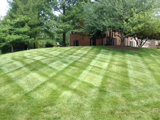 Expert outdoor landscaping near you across Jackson, TN - The Lawn Barbers