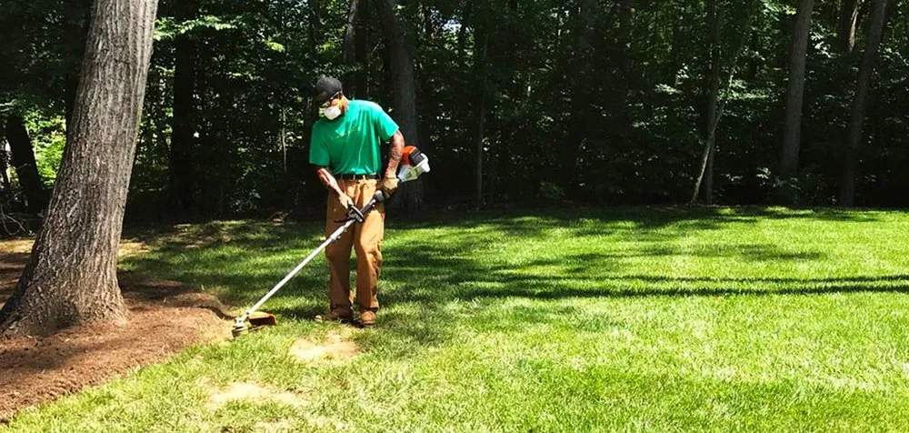 Top-rated yard cleanup service experts serving Shreveport, LA - The Lawn Barberz