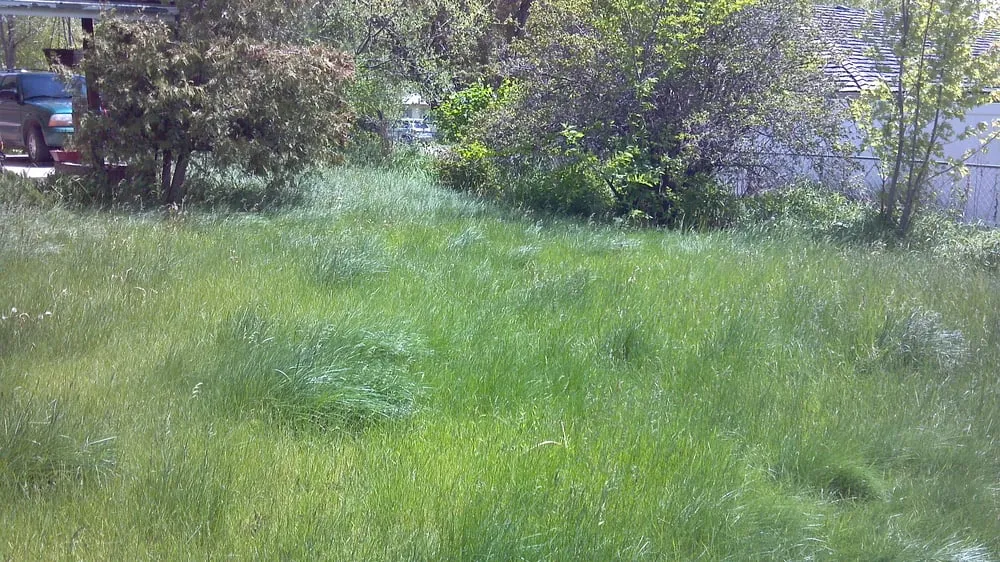 Professional landscaping services in Billings, MT - The Lawn Boys