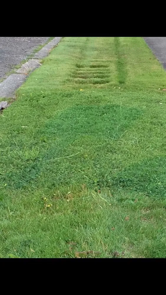 Local garden landscaping near you in Tacoma, WA by The Lawn Boys