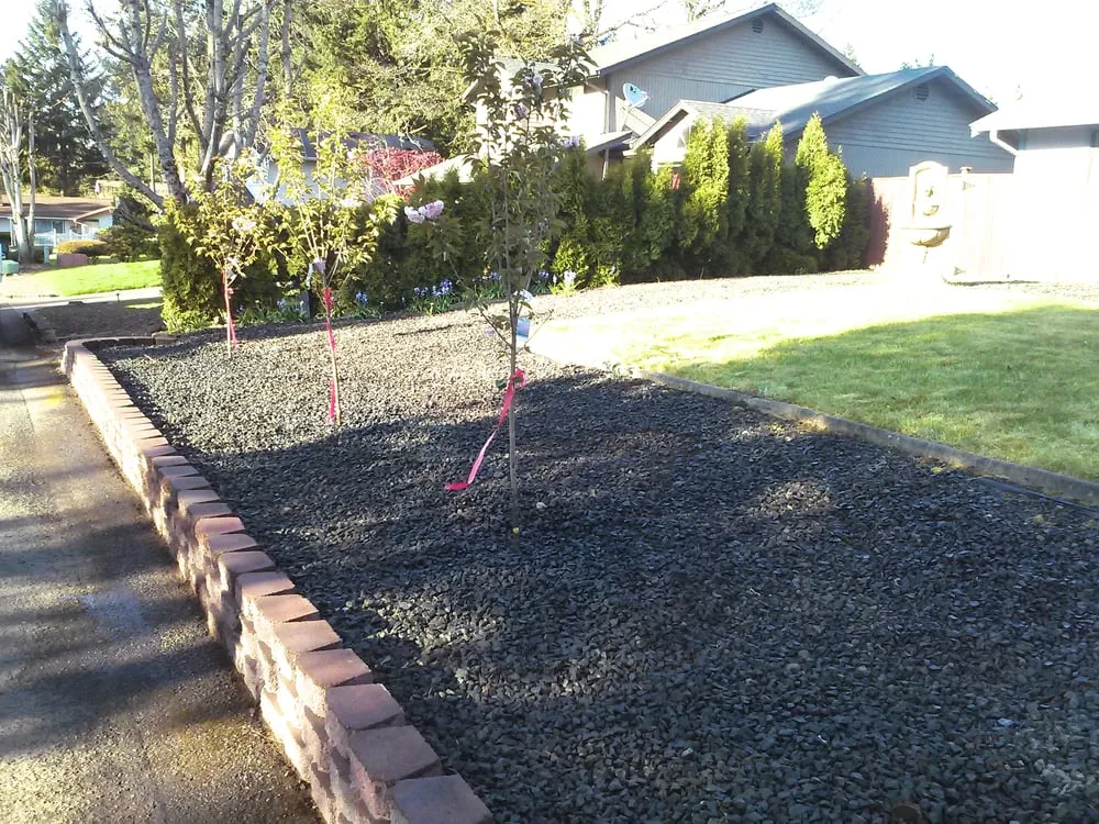 Professional yard cleanup service near you across Tacoma, WA - The Lawn Boys