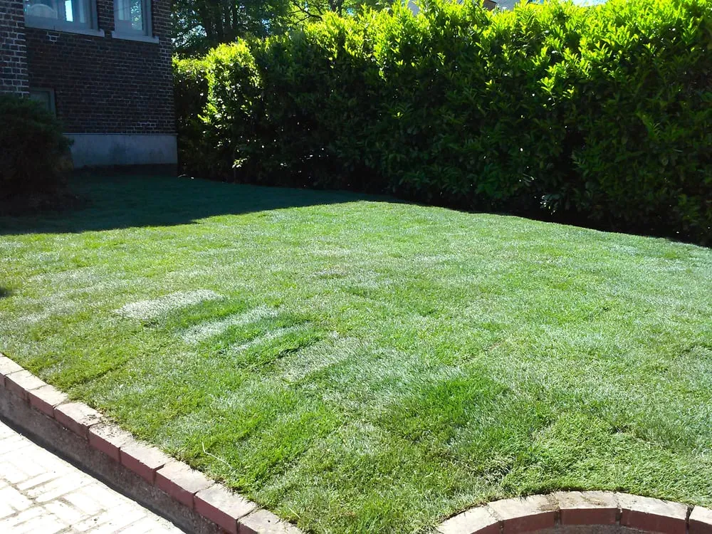 Professional yard maintenance experts serving Tacoma, WA - The Lawn Boys