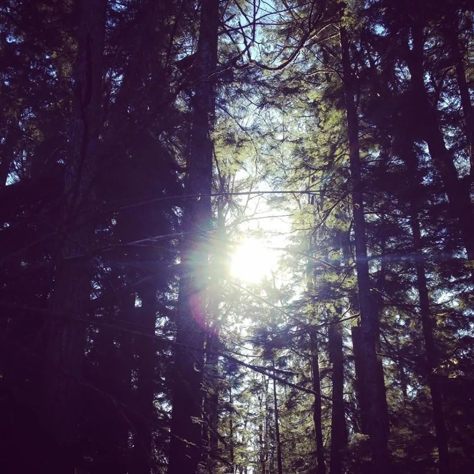 Reliable outdoor landscaping in Tacoma, WA - The Lawn Boys