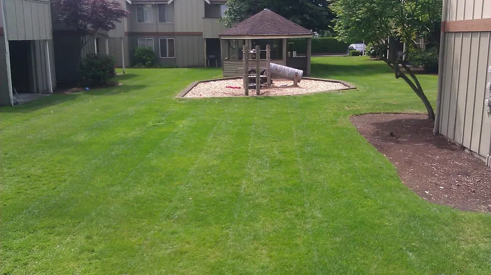 Professional lawn mowing service for year-round maintenance across Tacoma, WA - The Lawn Boys