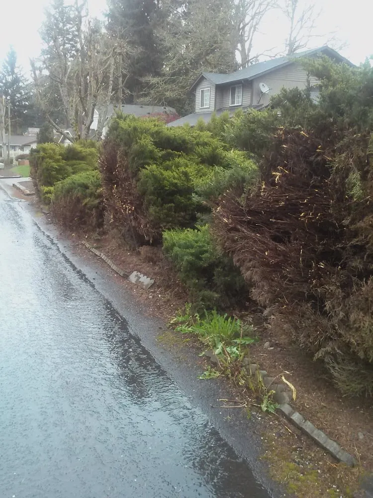 Expert residential landscaping experts serving Tacoma, WA - The Lawn Boys