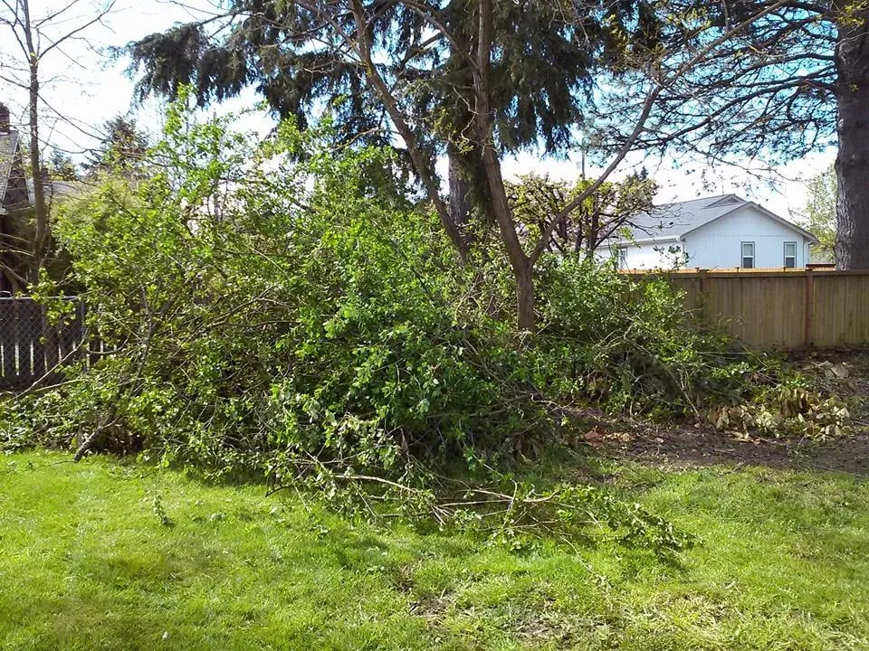 Local yard maintenance experts serving Tacoma, WA - The Lawn Boys