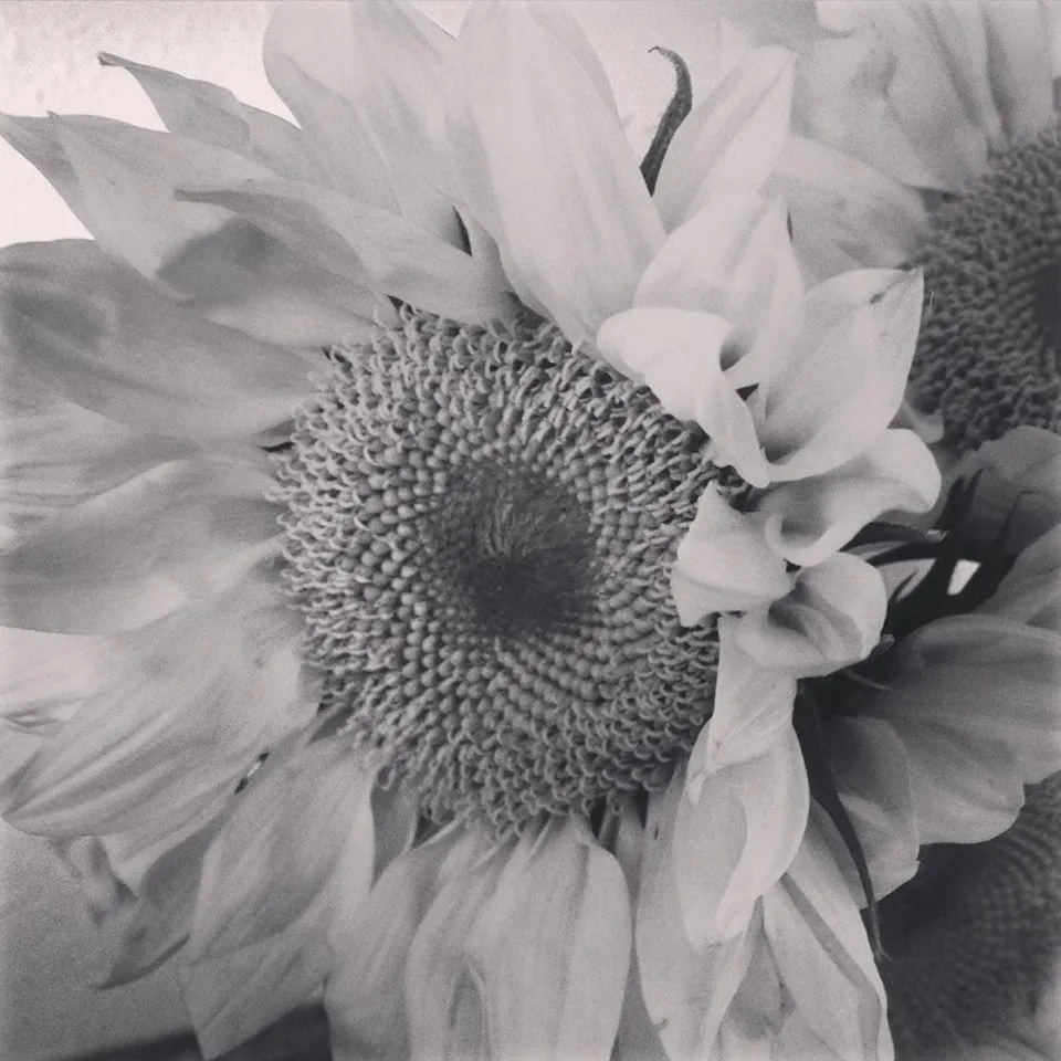 Affordable yard maintenance for homes across Tacoma, WA - The Lawn Boys