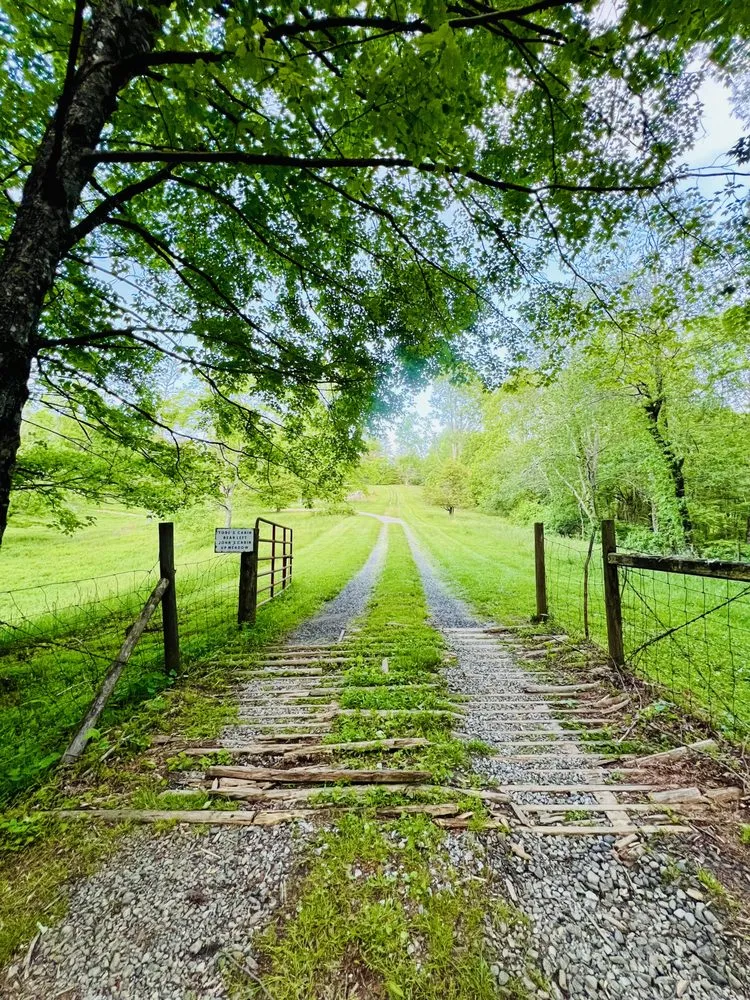 Affordable landscape installation in Sparta, NC by The Lawn Bros