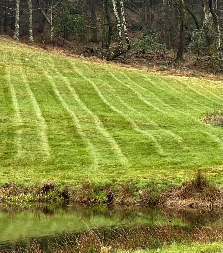 Local landscape design for residential properties in Sparta, NC by The Lawn Bros