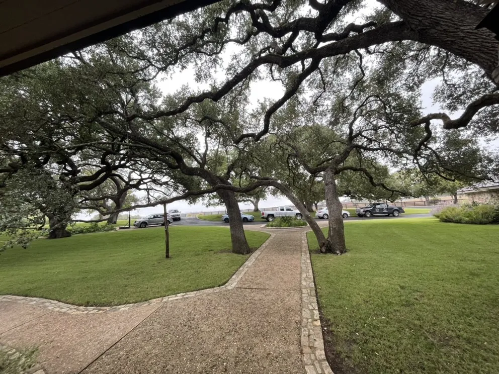 Professional yard cleanup service experts serving San Antonio, TX - The Lawn Brothers