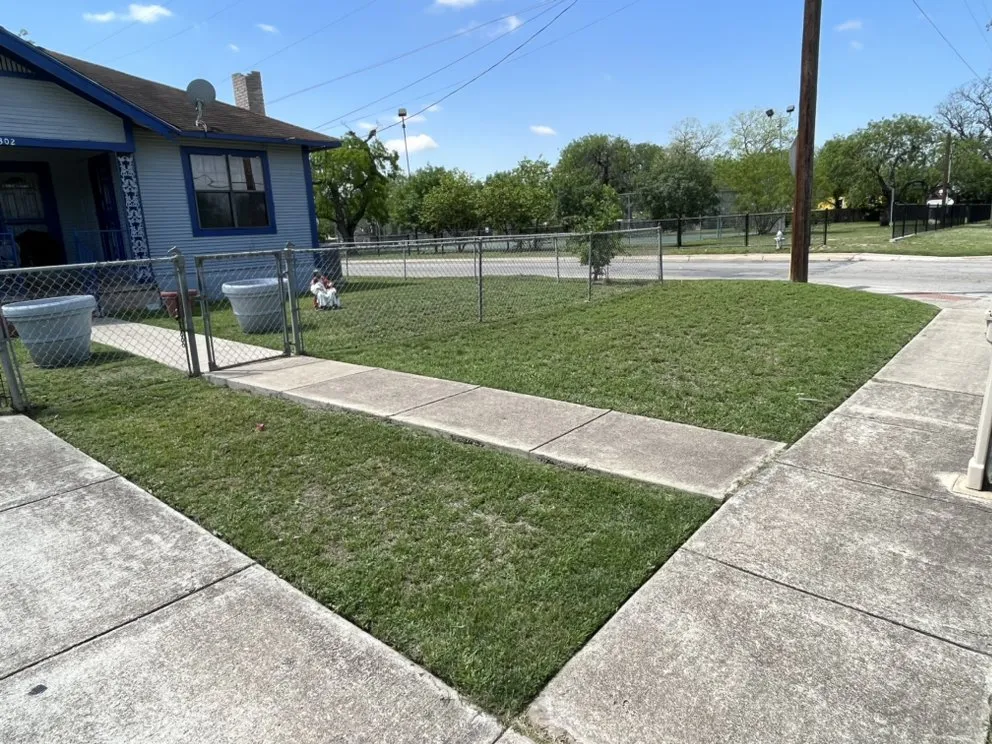 Expert yard maintenance in San Antonio, TX by The Lawn Brothers