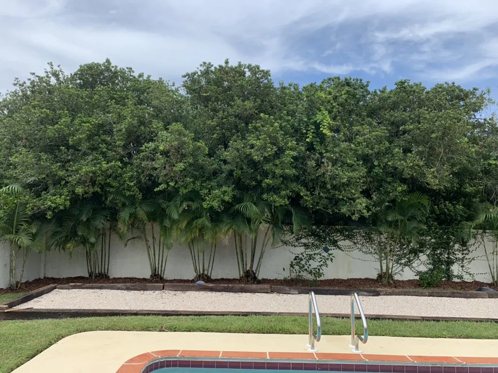 Top-rated landscaping services in Lakeland, FL - The Lawn Butcher