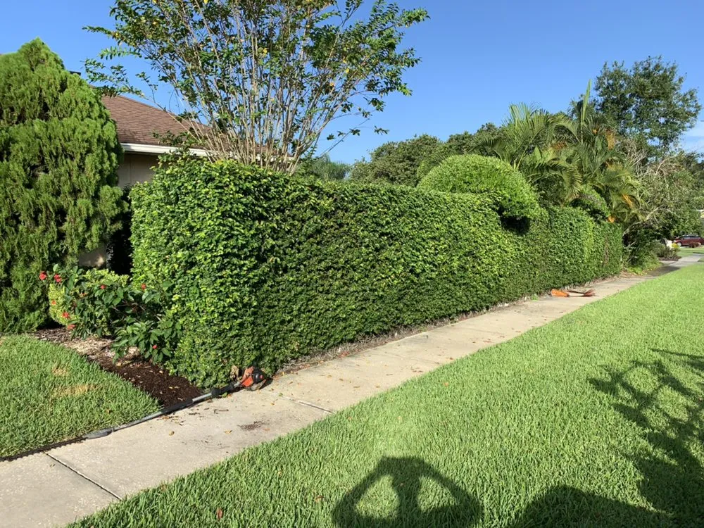 Local lawn mowing service in Lakeland, FL - The Lawn Butcher