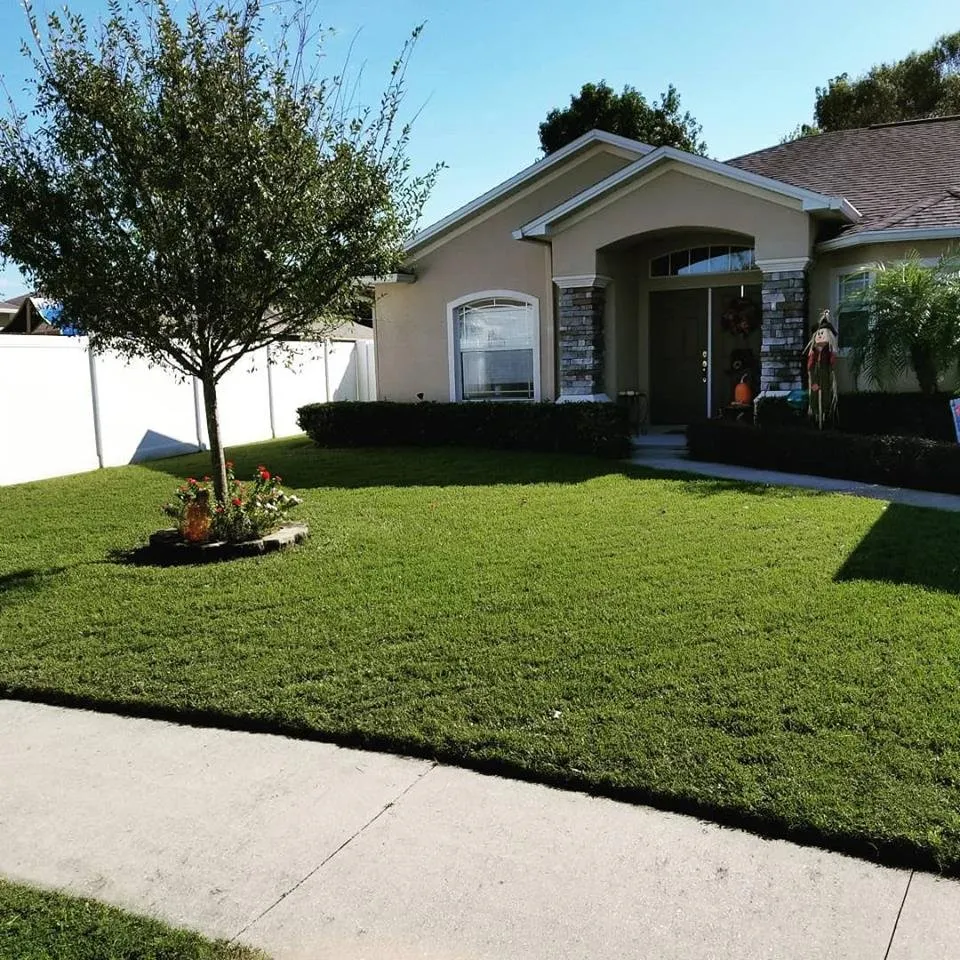 Reliable landscaping services in Lakeland, FL by The Lawn Butcher