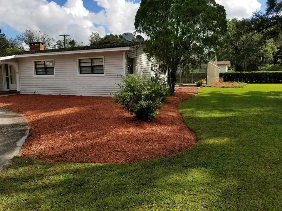 Local yard maintenance in Lakeland, FL - The Lawn Butcher