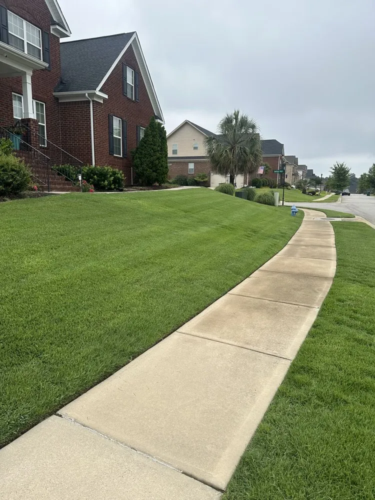 Professional landscaping services for beautiful yards in Lexington, SC by The Lawn Butler