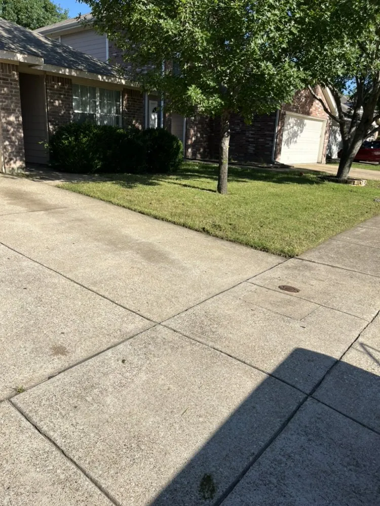Local outdoor landscaping in Mesquite, TX - The Lawn Butler