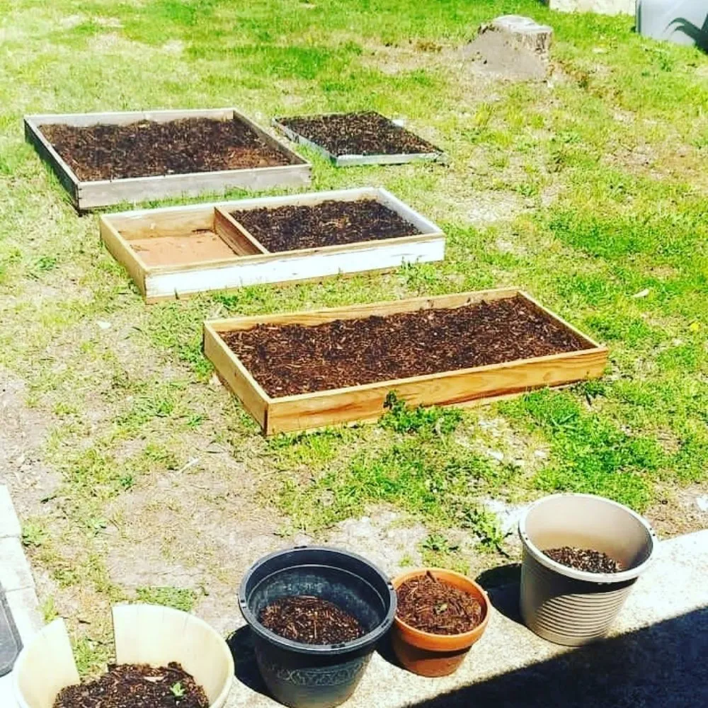 Custom yard maintenance near you in Mesquite, TX by The Lawn Butler