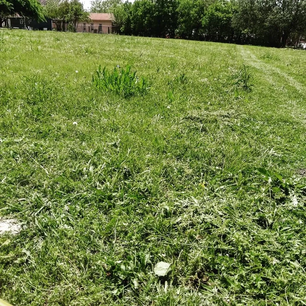 Custom landscape design in Mesquite, TX by The Lawn Butler