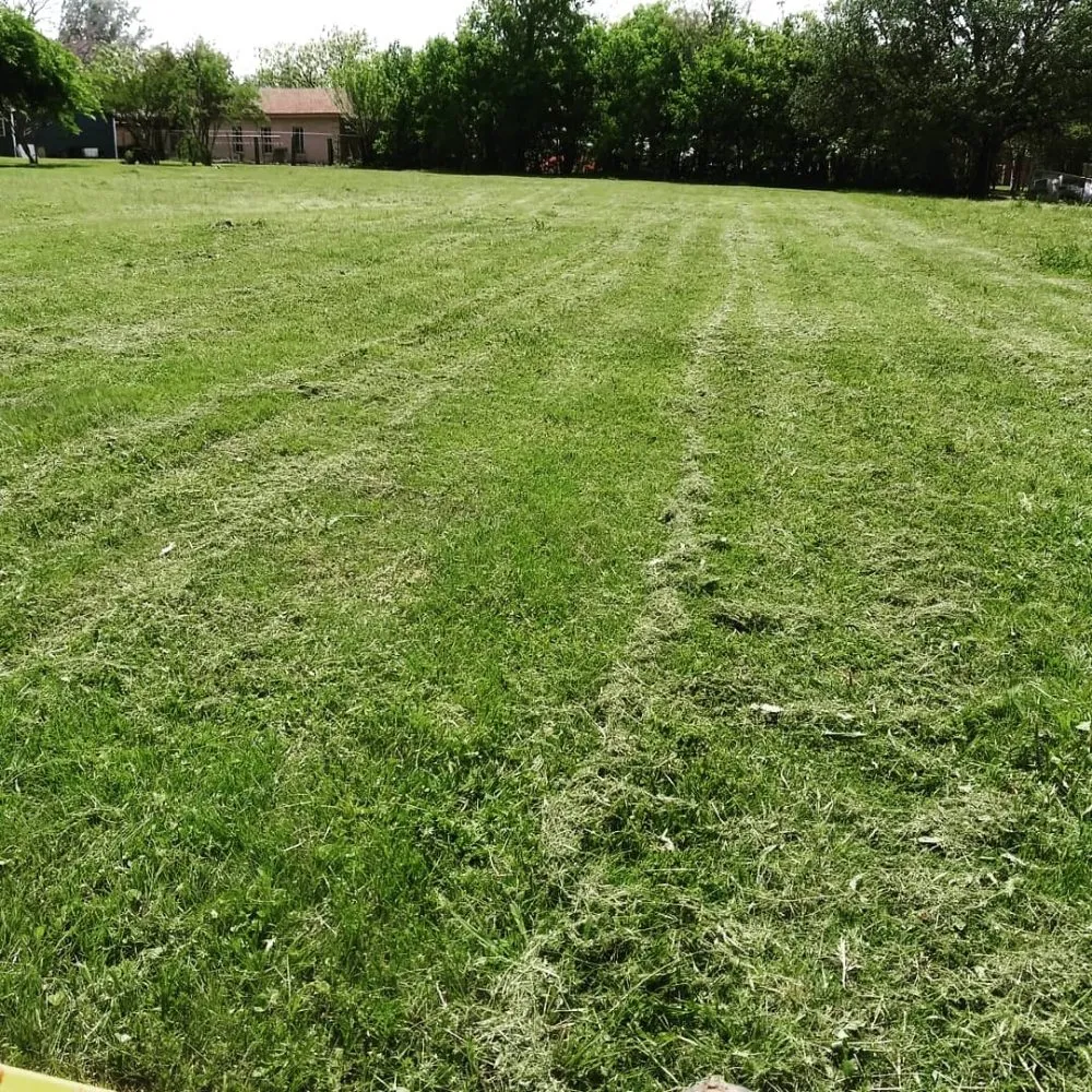 Reliable residential landscaping for beautiful yards in Mesquite, TX by The Lawn Butler