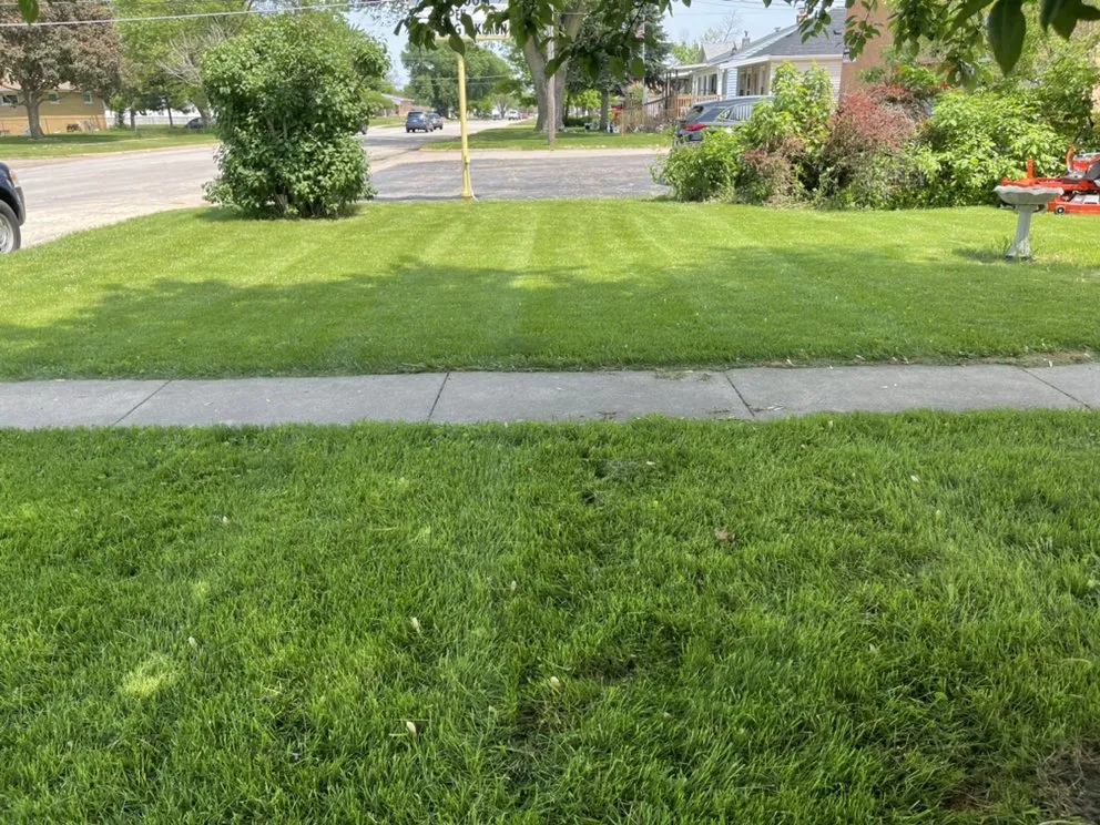 Local yard maintenance in Bourbonnais, IL by The Lawn Care Company