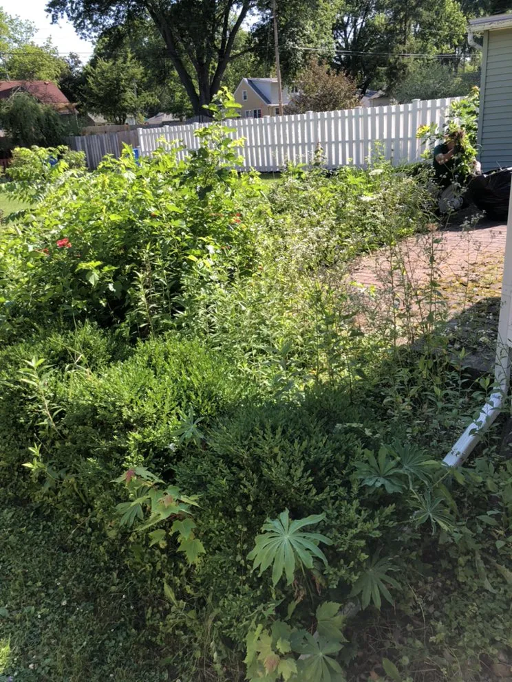 Affordable yard cleanup service in Sauk City, WI by The Lawn Care Company