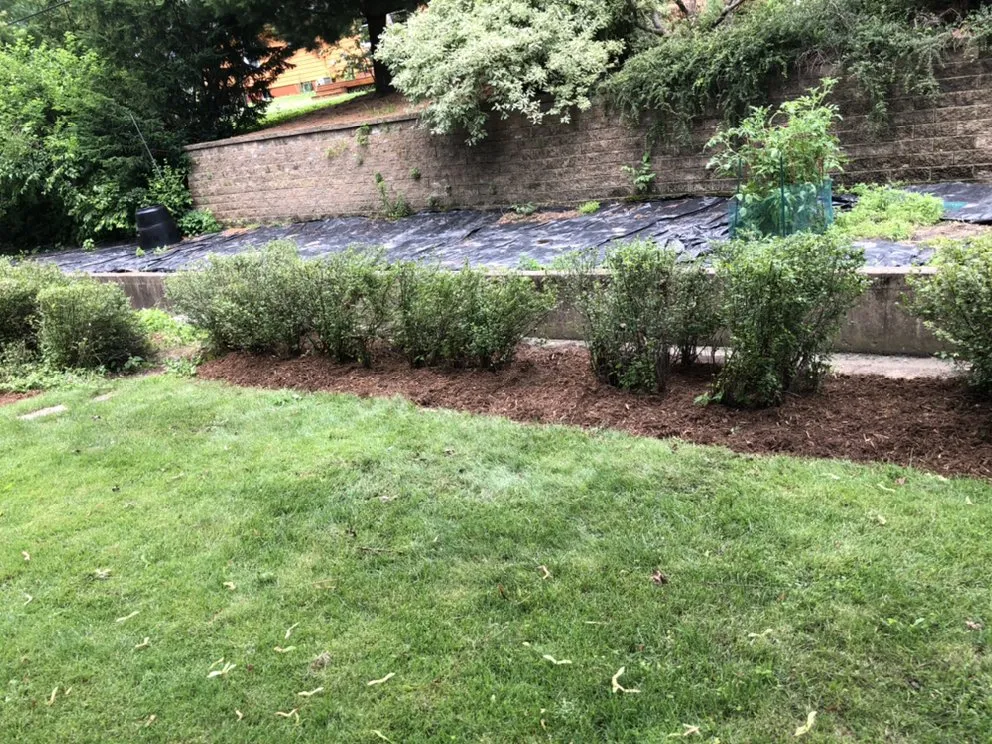 Reliable lawn mowing service in Sauk City, WI - The Lawn Care Company