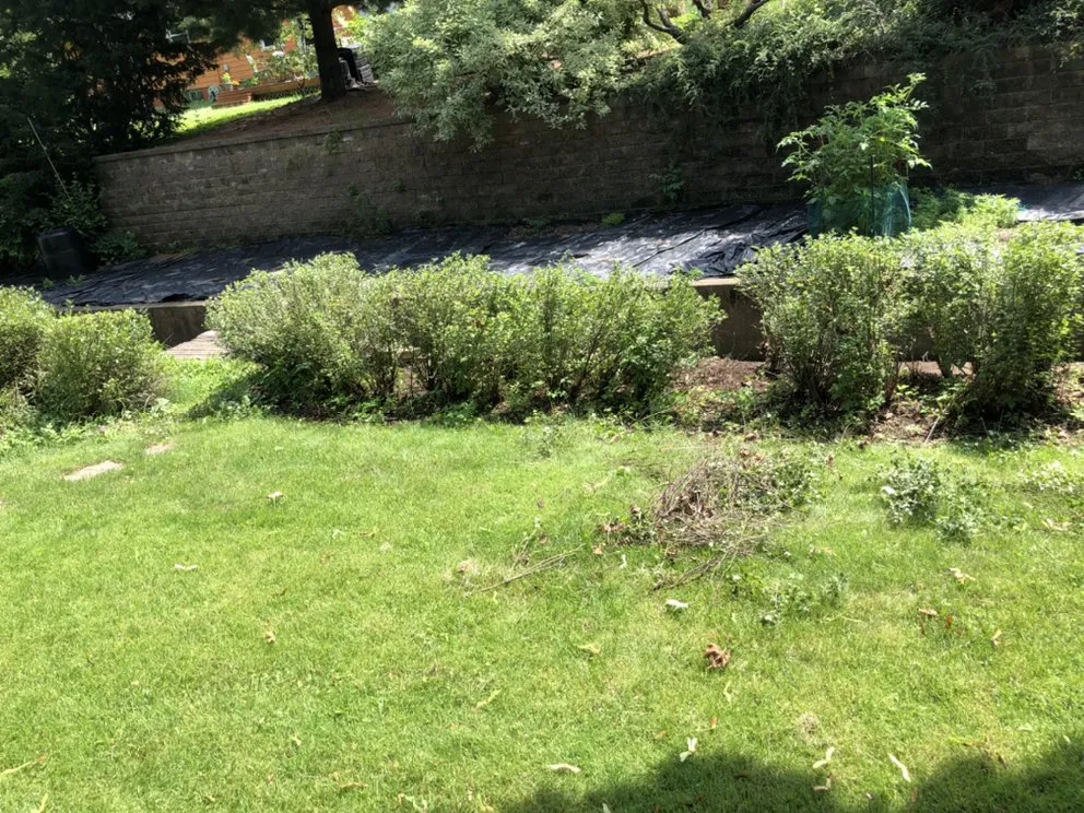 Professional lawn care service for residential properties in Sauk City, WI by The Lawn Care Company