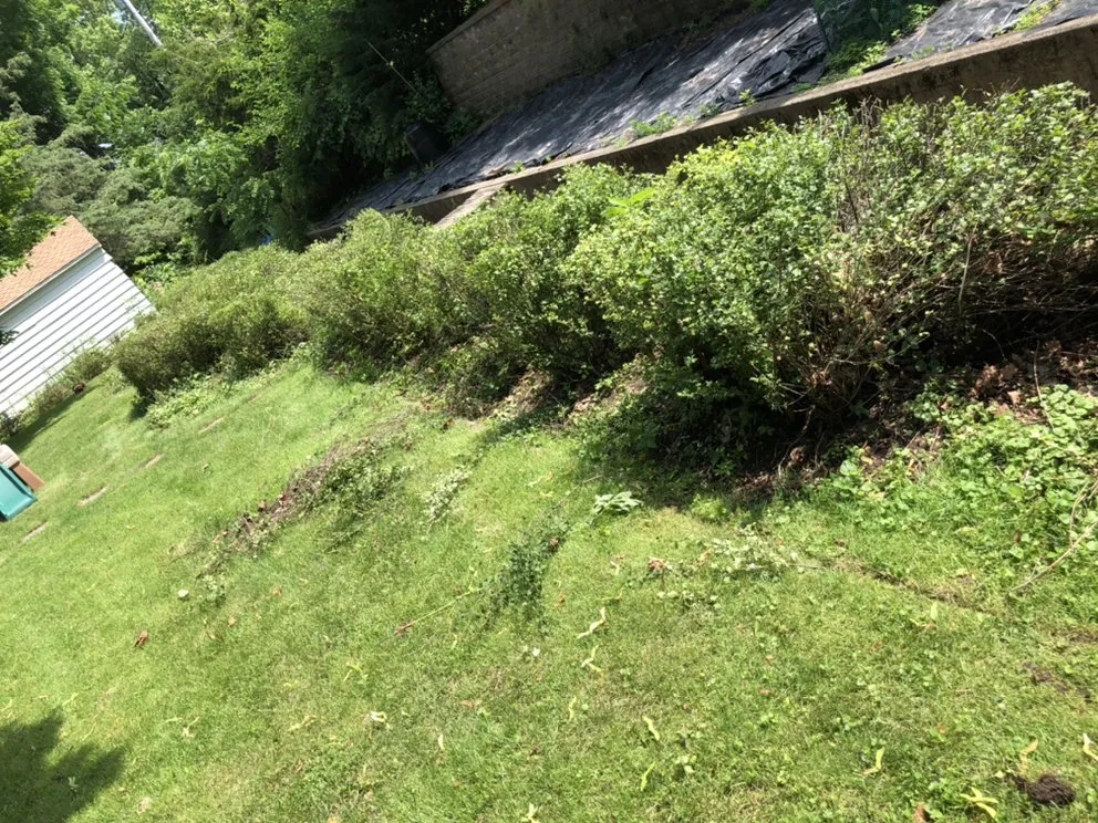 Custom landscape design for beautiful yards across Sauk City, WI - The Lawn Care Company