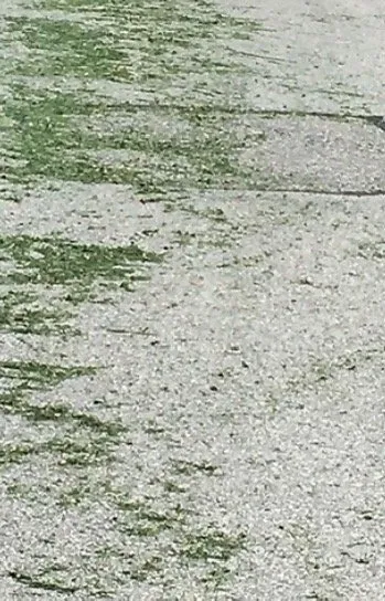 Local residential landscaping for homes in Omaha, NE by The Lawn Care Guy