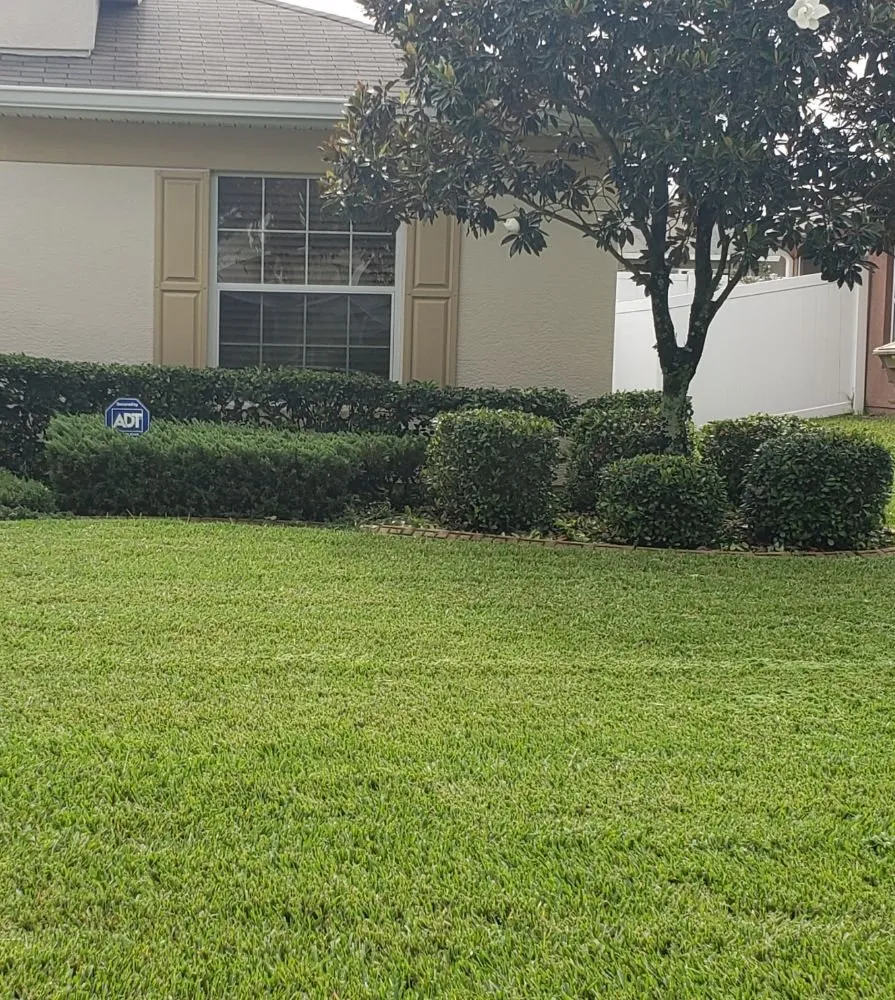 Expert landscape installation for outdoor upgrades across Lecanto, FL - The Lawn Coach