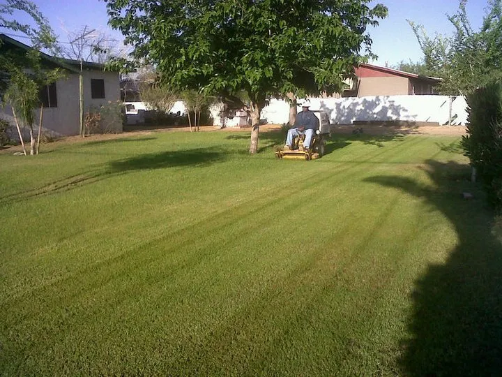 Reliable landscaping services with custom design across Casa Grande, AZ - The Lawn Company