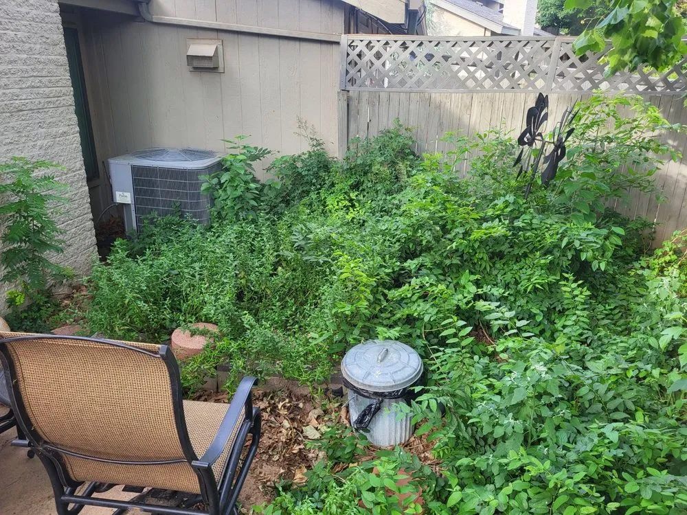 Custom lawn care service experts serving Guthrie, OK - The Lawn Company