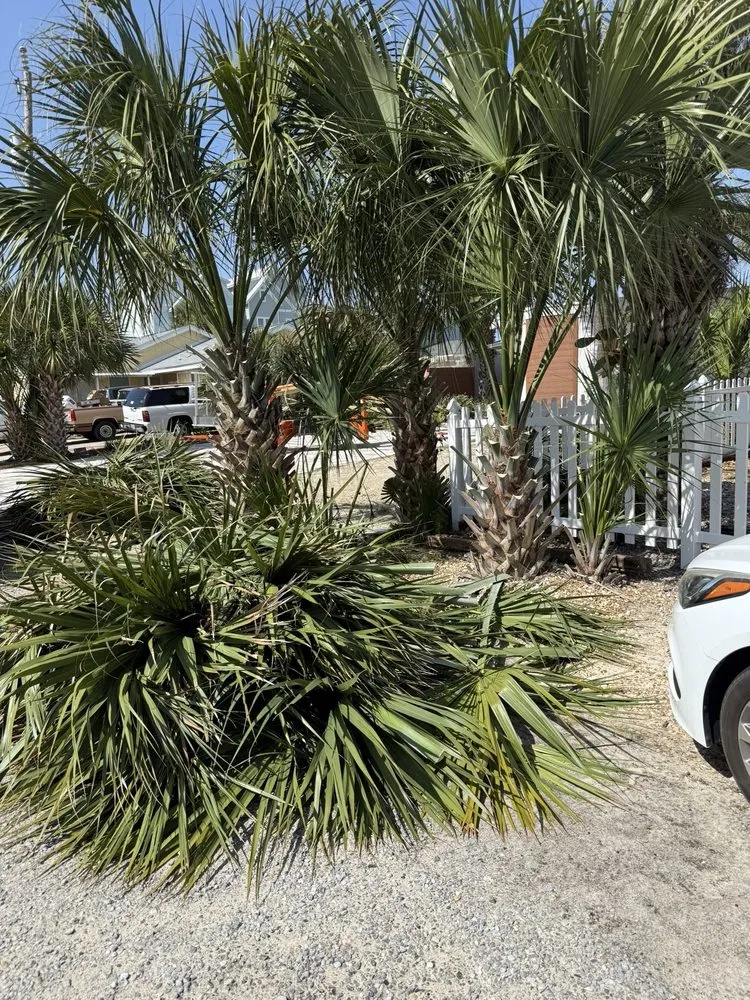 Affordable landscape design in Panama City, FL - The lawn company