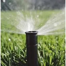 Reliable yard maintenance in Clarksville, TN by The Lawn Connection