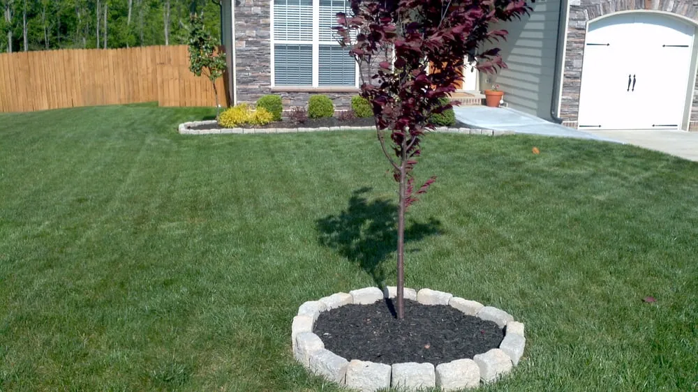 Custom outdoor landscaping experts serving Clarksville, TN - The Lawn Connection
