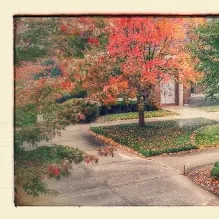 Local landscaping services in Clarksville, TN by The Lawn Connection