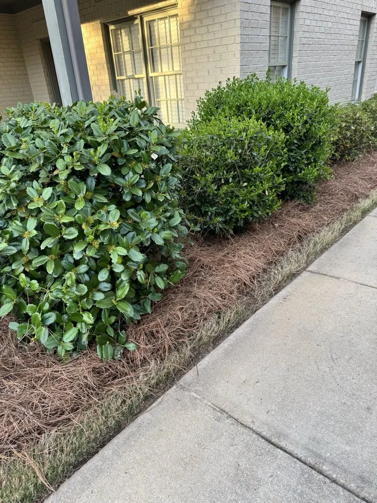 Top-rated landscape installation in Hoover, AL - The Lawn Crew