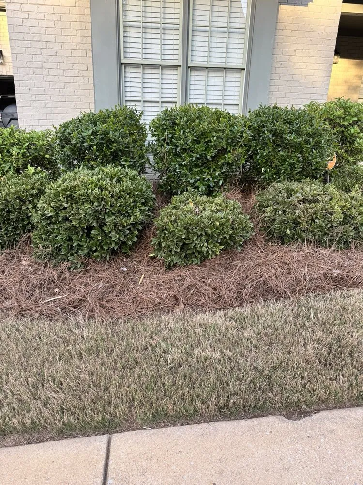 Top-rated outdoor landscaping with custom design across Hoover, AL - The Lawn Crew