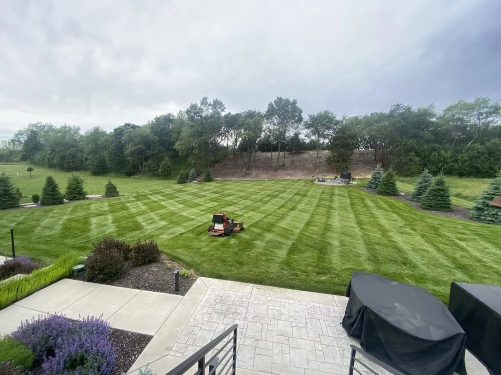 Reliable yard cleanup service for year-round maintenance across West Allis, WI - The Lawn Daddy