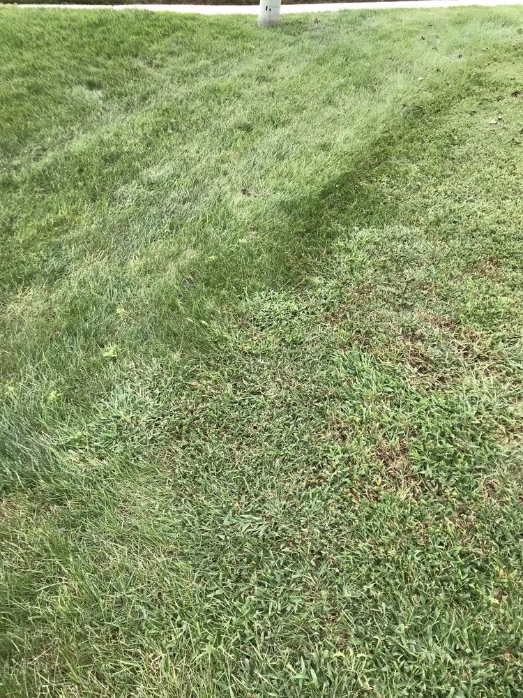 Trusted yard cleanup service for homes across Doylestown, PA - The Lawn Depot