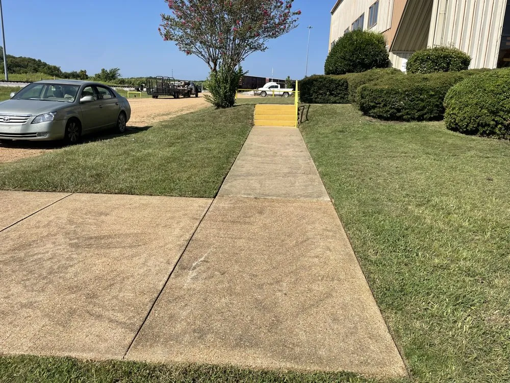 Top-rated yard cleanup service in Columbus, MS by The Lawn Doctor