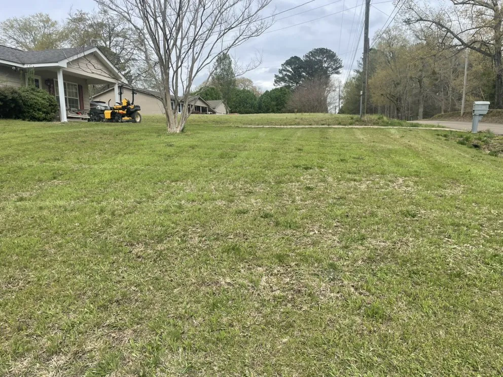 Local lawn care service in Columbus, MS by The Lawn Doctor