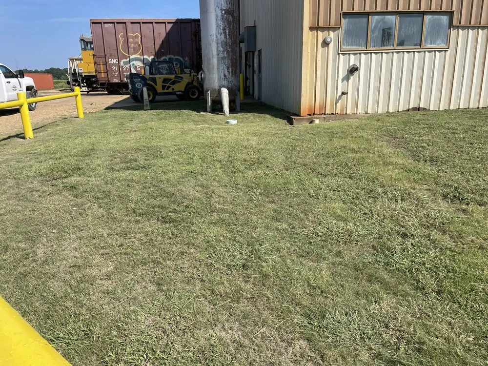 Top-rated lawn care service for beautiful yards in Columbus, MS by The Lawn Doctor