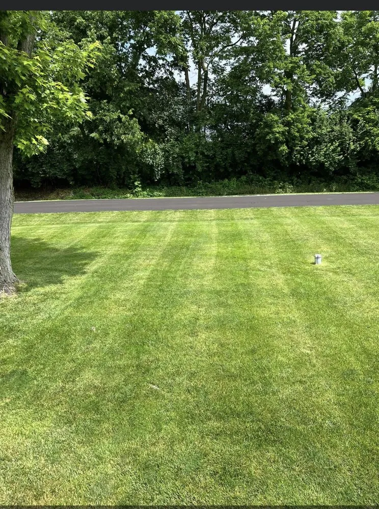 Professional residential landscaping for beautiful yards across Monroe, LA - The Lawn Doctor