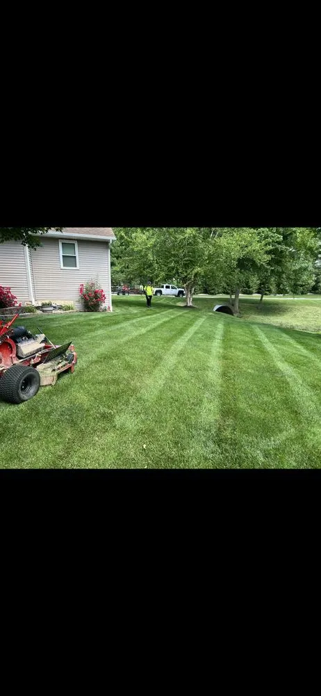 Reliable landscaping services for beautiful yards in Quincy, IL by The Lawn Doctor