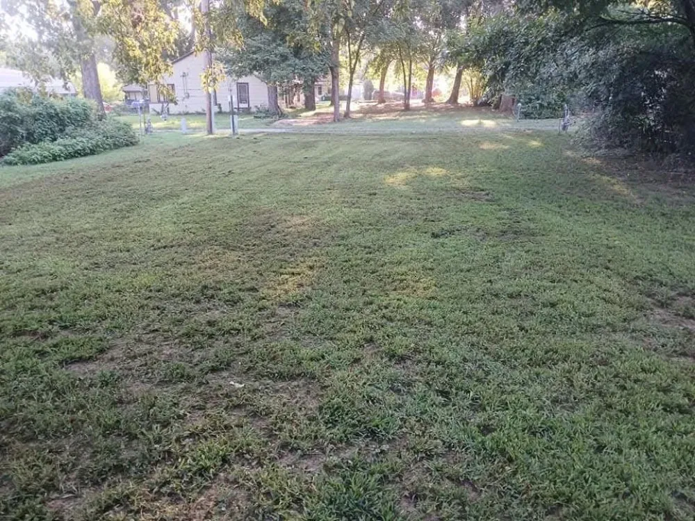 Affordable landscaping services for year-round maintenance across Yale, OK - The Lawn Doctor