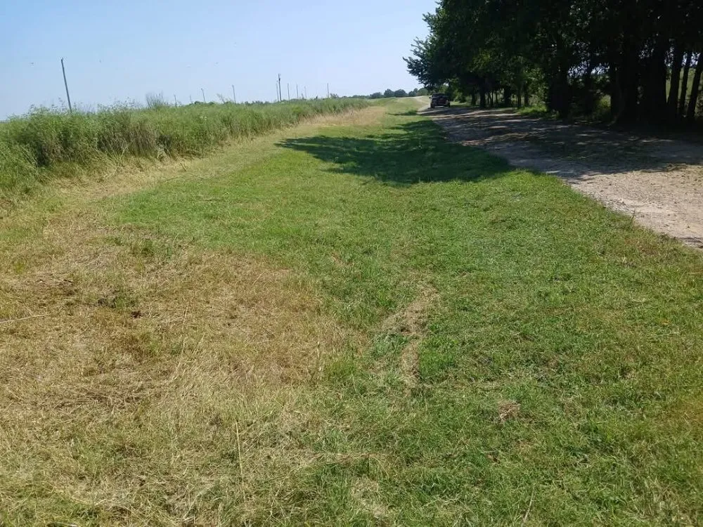 Affordable landscape design experts serving Yale, OK - The Lawn Doctor