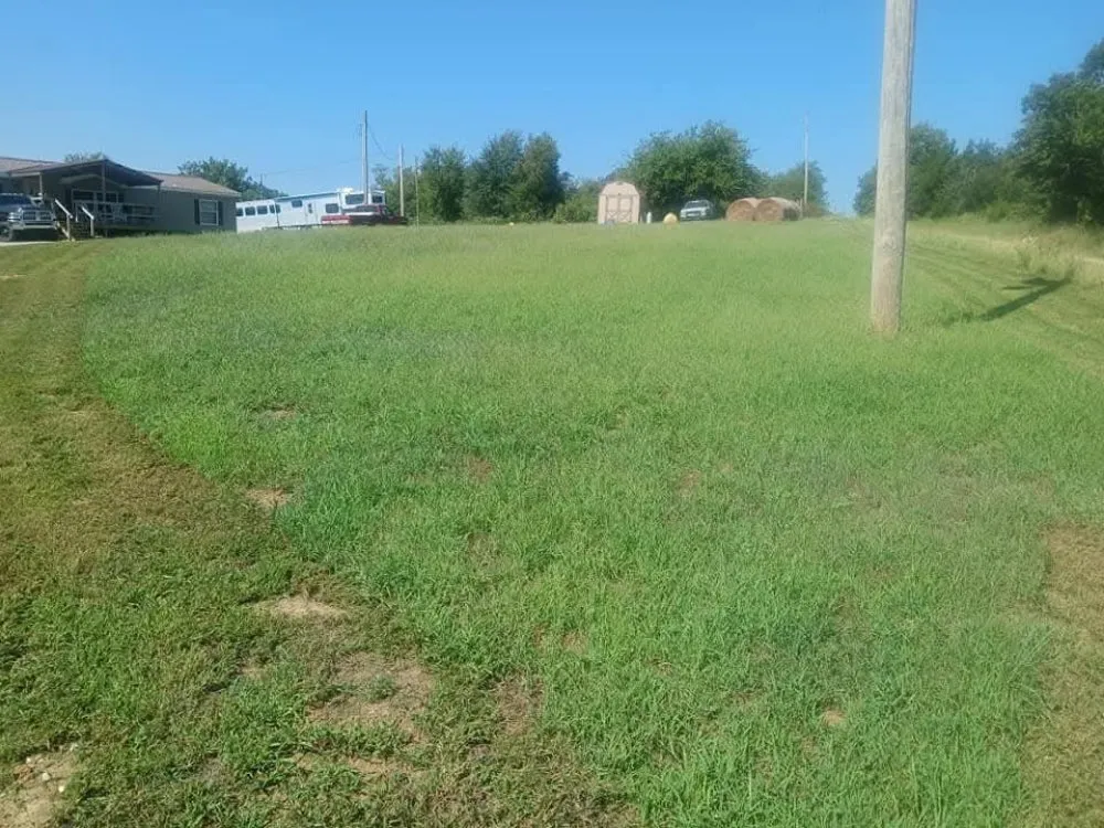 Custom yard maintenance in Yale, OK - The Lawn Doctor