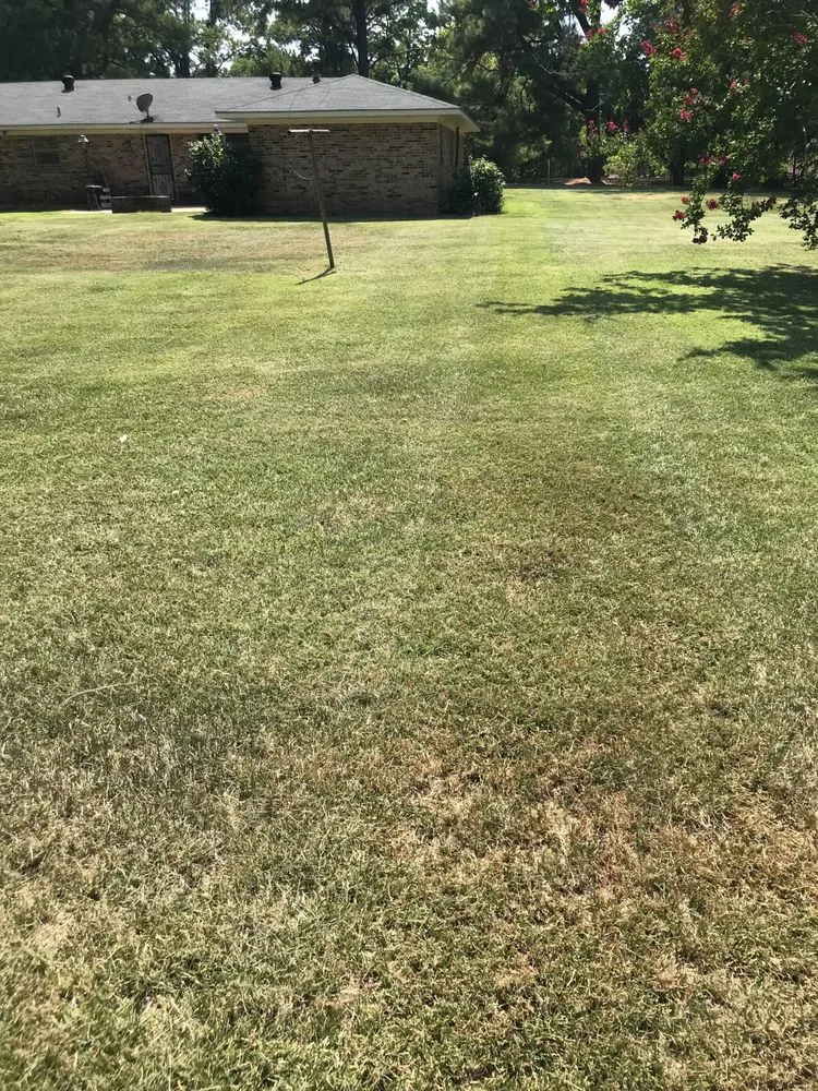 Custom residential landscaping for outdoor upgrades across Natchitoches, LA - The Lawn Dr Of Natchitoches